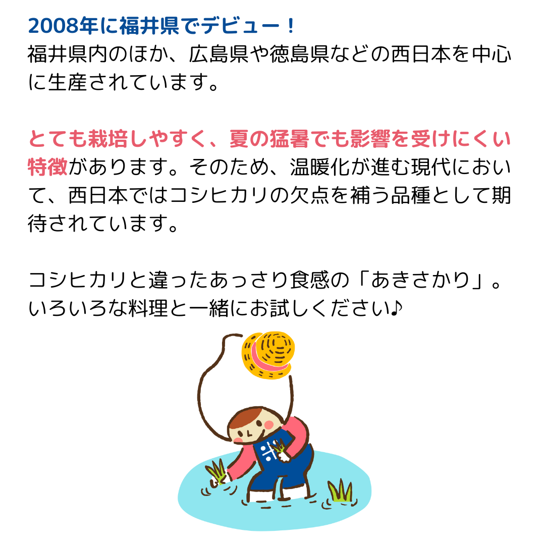 品種紹介】あきさかり｜コメフル