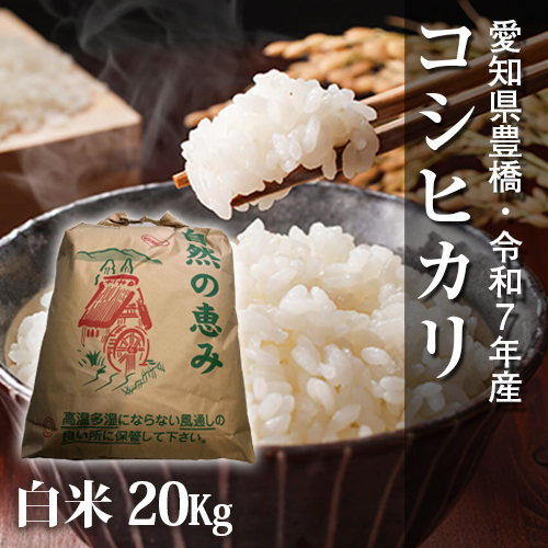 節減対象農薬6割減】コシヒカリ 白米20kg【令和8年・新米・愛知県産